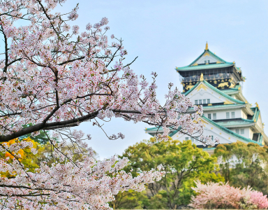 Foto de Osaka 